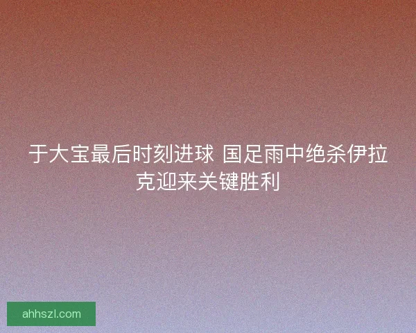 于大宝最后时刻进球 国足雨中绝杀伊拉克迎来关键胜利 于大宝最后时刻进球 国足雨中绝杀伊拉克迎来关键胜利
