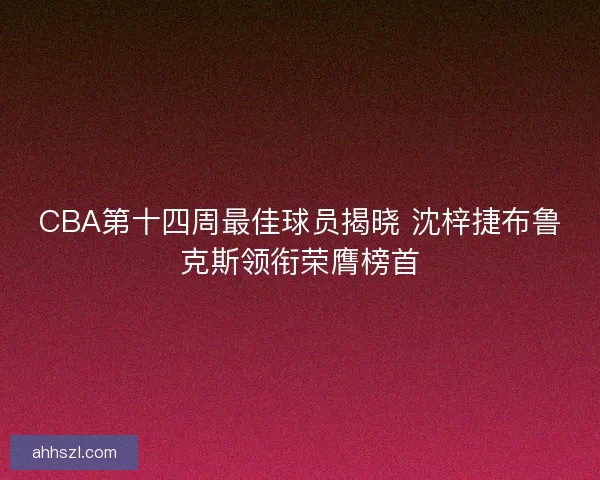 CBA第十四周最佳球员揭晓 沈梓捷布鲁克斯领衔荣膺榜首